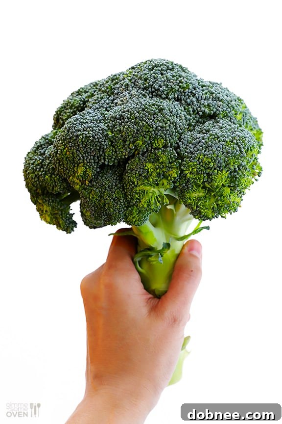 Shrimp Pasta with Broccoli Pesto | gimmesomeoven.com #seafood