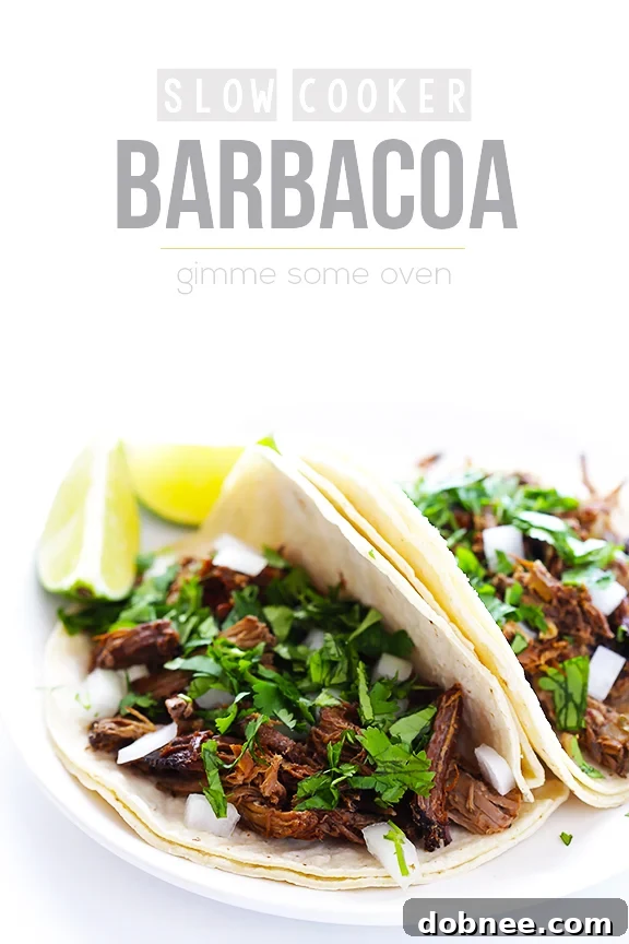A final plate of delicious barbacoa beef tacos with fresh toppings.