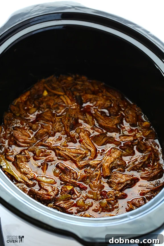 A bowl of shredded barbacoa beef with rich, dark sauce.