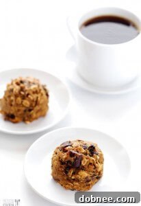 Breakfast Cookies