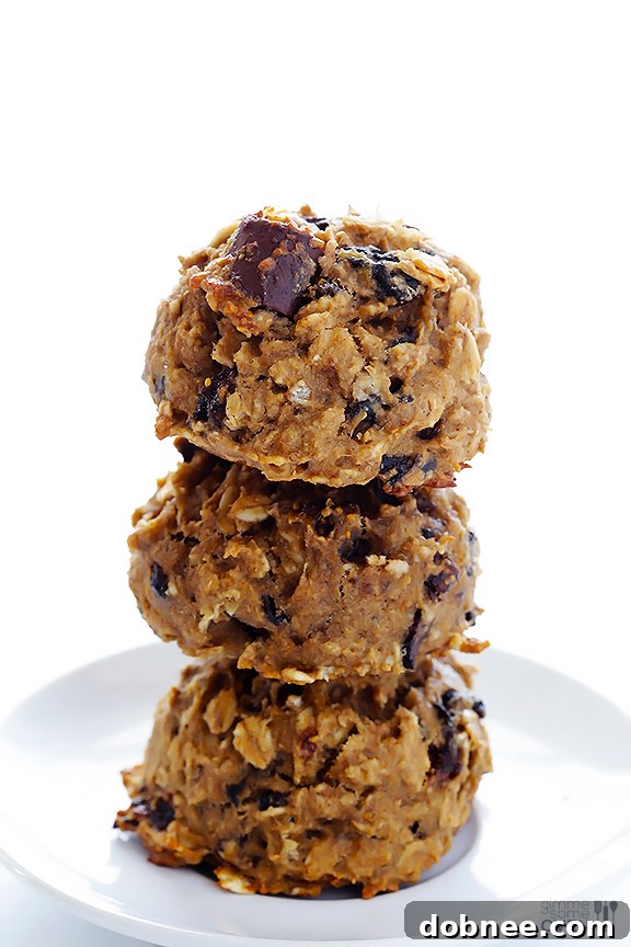 Seriously Delish Breakfast Cookies Ingredients Ingredients for healthy breakfast cookies laid out on a table.