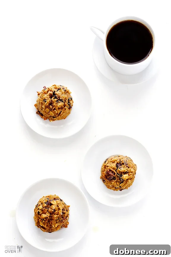 Close-up of Breakfast Cookie A close-up of a warm, soft breakfast cookie, ready to be enjoyed.