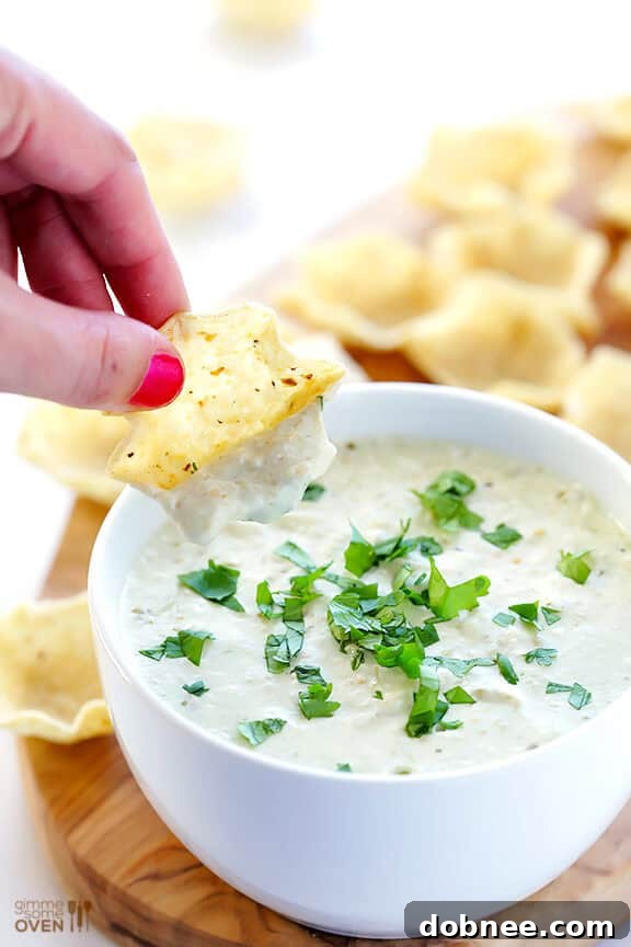 Effortless 2-Ingredient Queso Dip: Creamy, Zesty, and Ready in Minutes – Perfect for Parties, Game Days, and Cozy Girls' Nights!