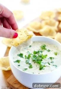 Two-Ingredient Queso Dip