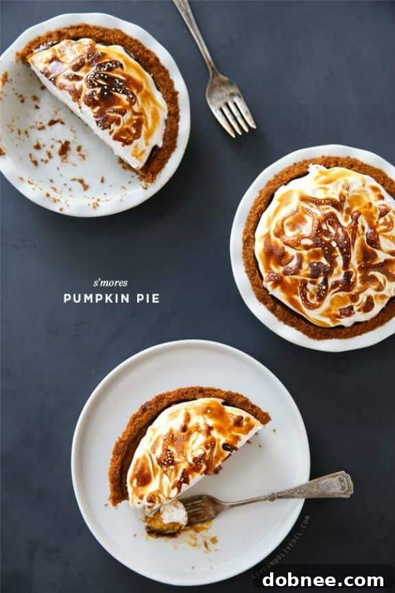 S'Mores Pumpkin Pie | loveandoliveoil.com