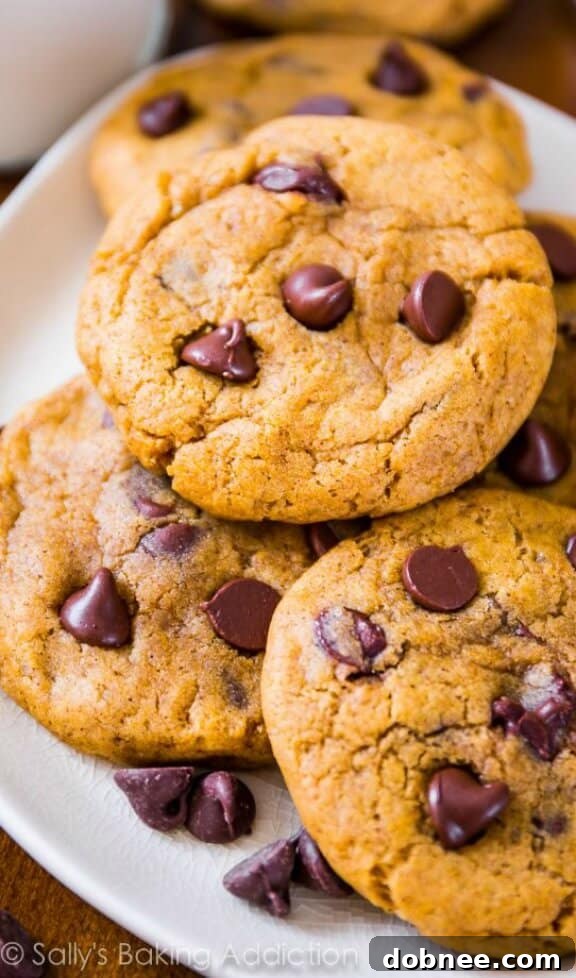 pumpkin chocolate chip cookies | sallysbakingaddiction.com