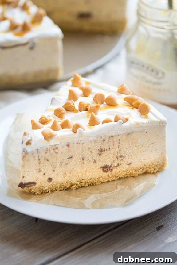 Pumpkin Spice Nutella Swirl Ice Cream Pie | thisgalcooks.com