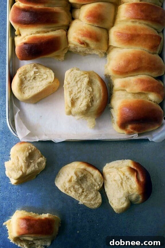 Parker House Rolls - Soft, Buttery, and Essential Bread for Thanksgiving
