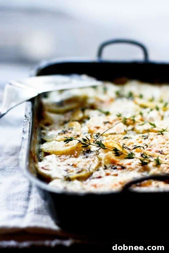 Parsnip Gratin with Gruyere and Thyme - Rich, Cheesy, and Aromatic