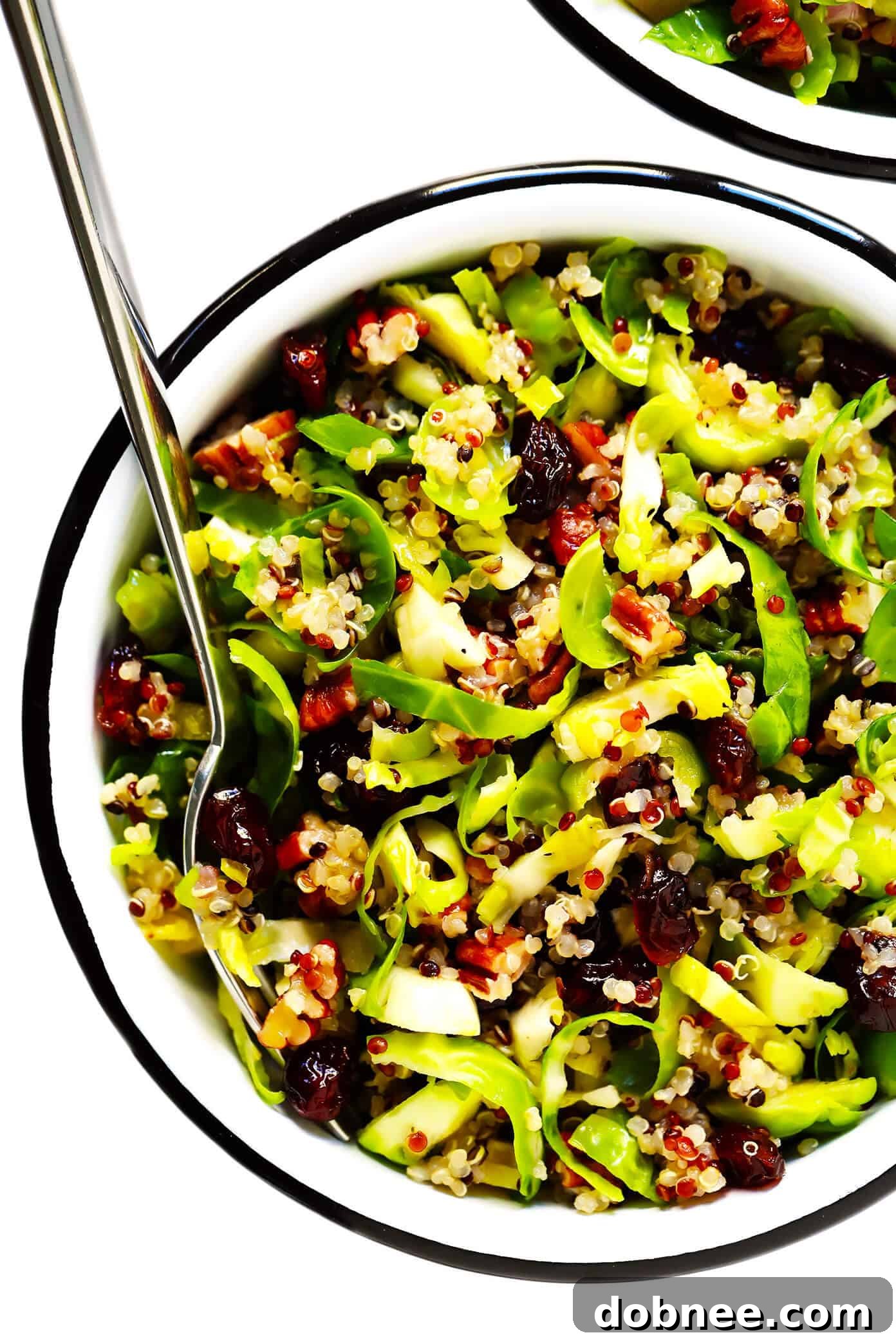 Vibrant Brussels Sprouts, Cranberry, and Quinoa Salad, perfect for healthy eating