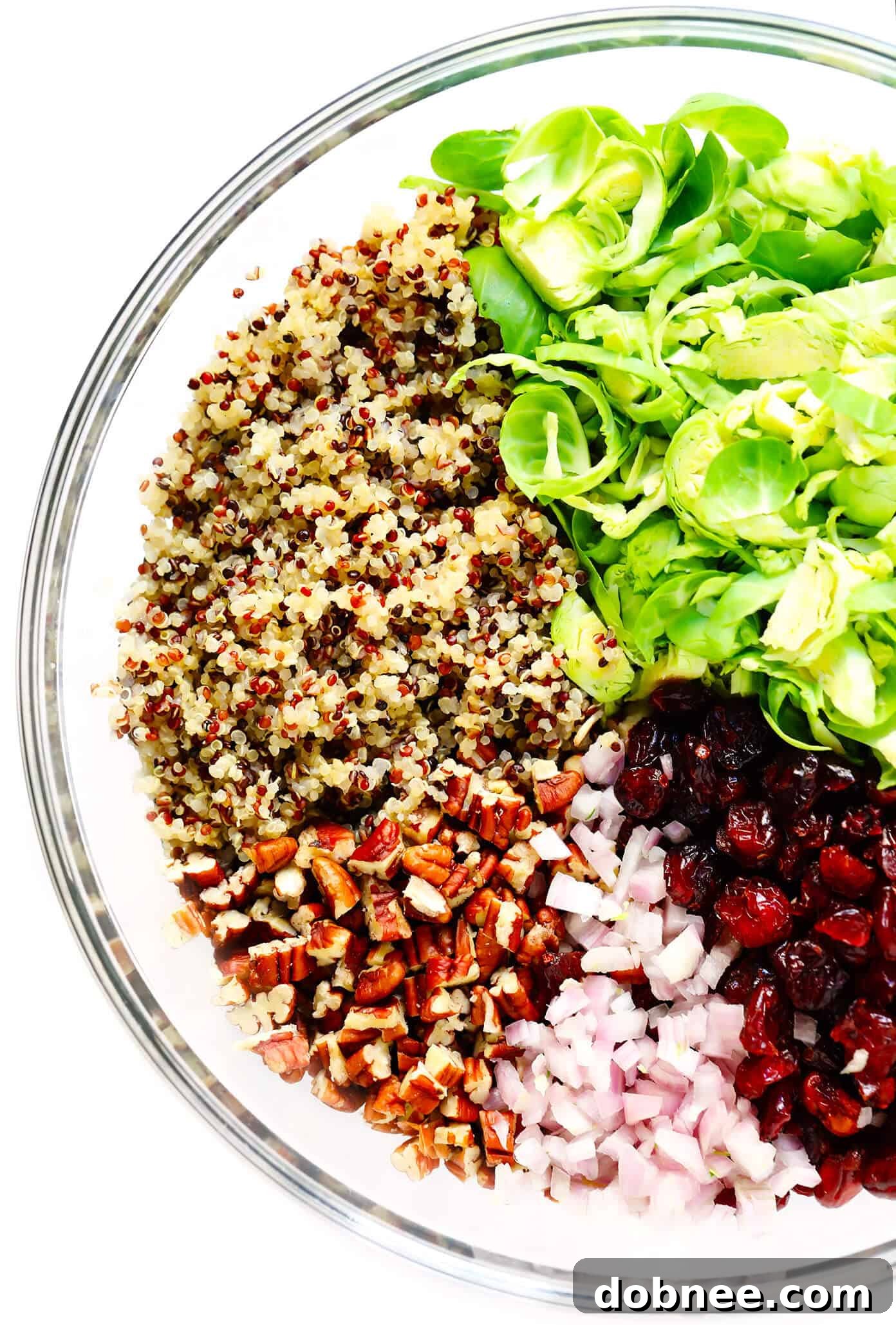 Close-up of shredded Brussels sprouts, quinoa, cranberries, shallots, and pecans, ready for salad