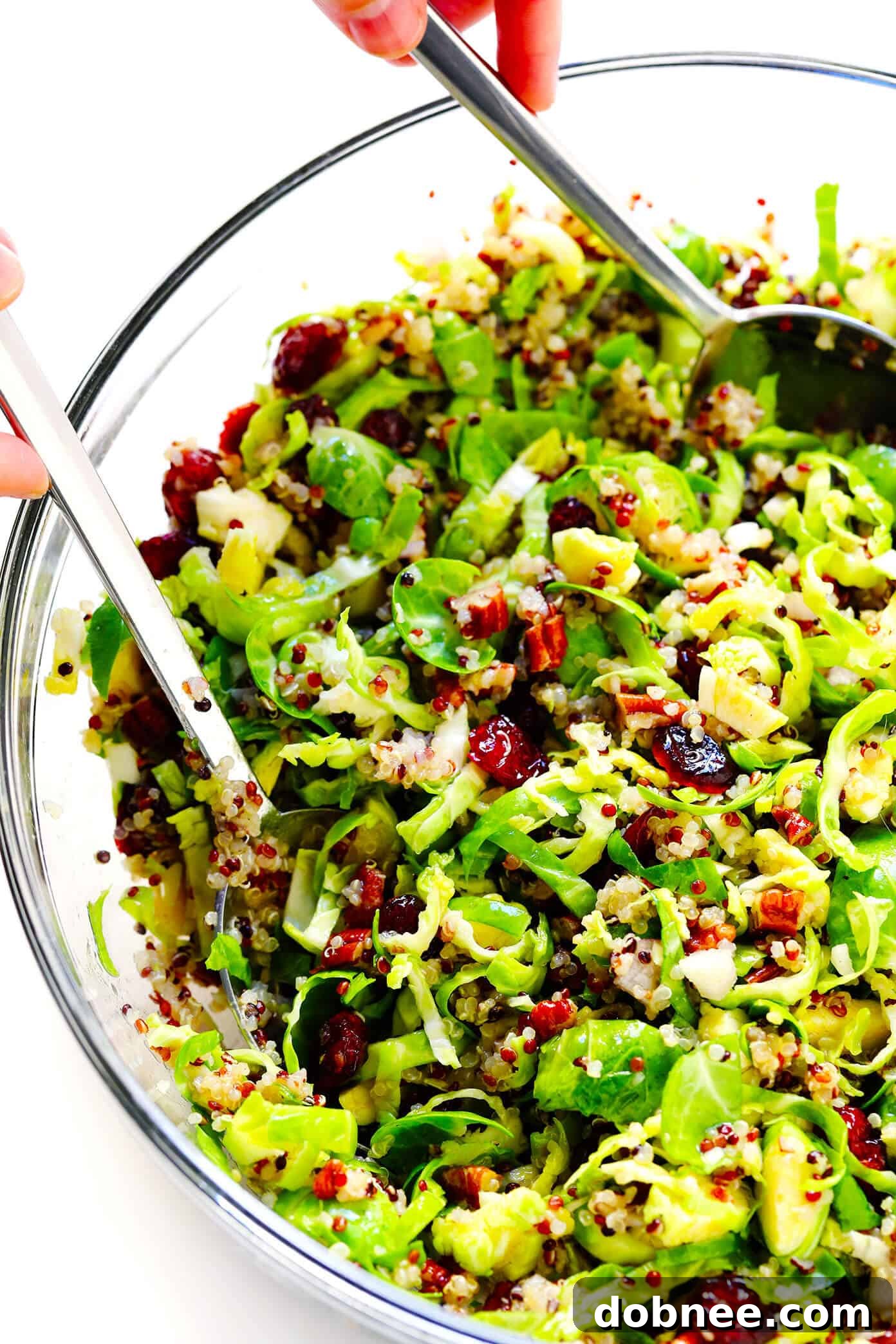 Finished Shredded Brussels Sprouts Salad with Cranberry, Pecans, and Quinoa in a serving bowl