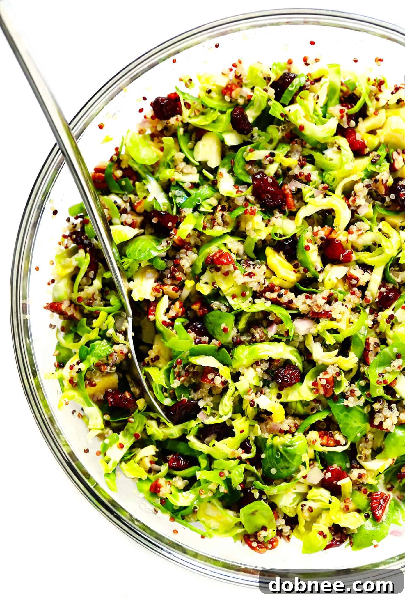 Brussels Sprouts, Cranberry, and Quinoa Salad recipe displayed beautifully