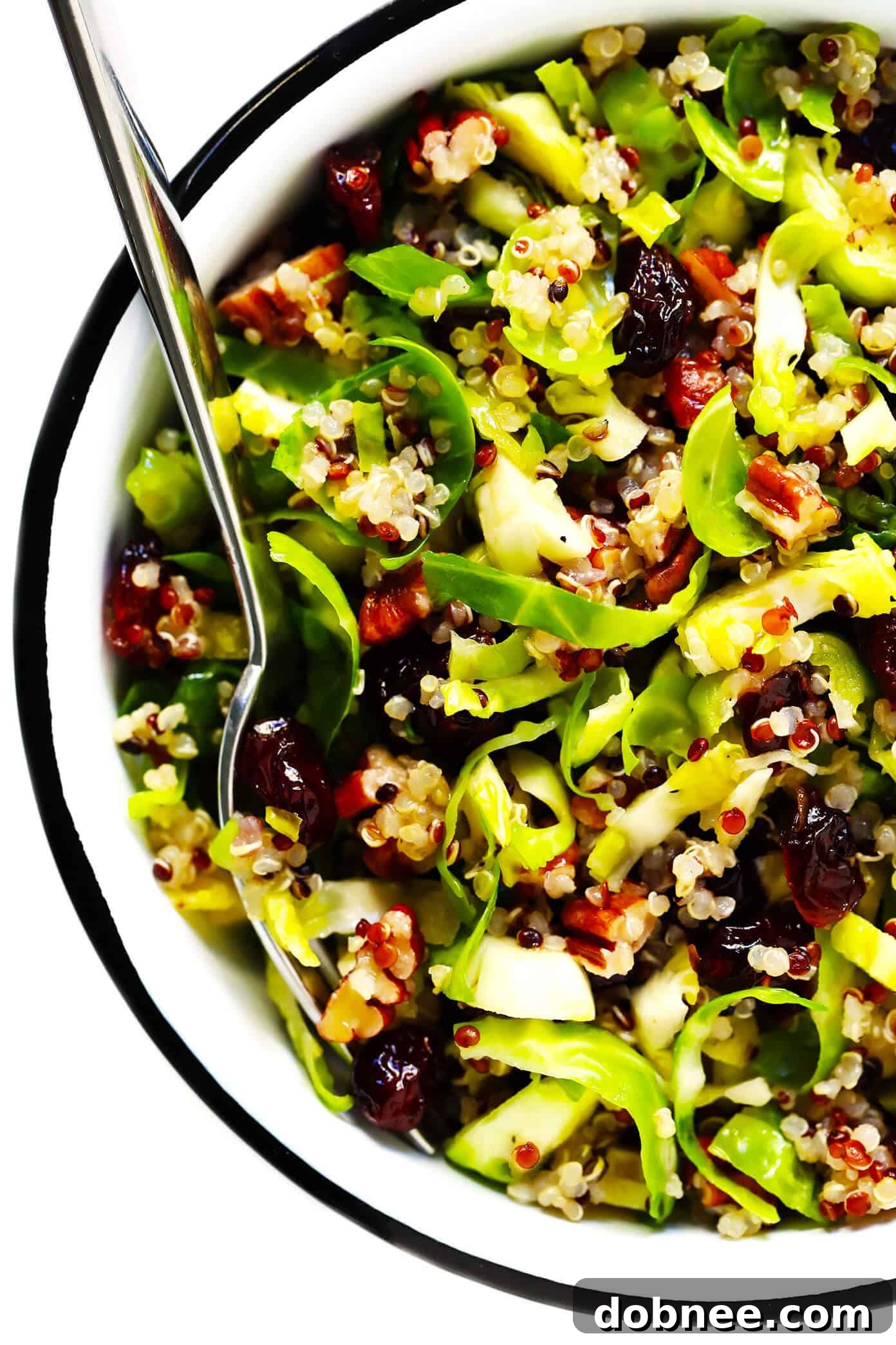 Serving bowl of Brussels Sprouts Salad with Cranberry and Quinoa