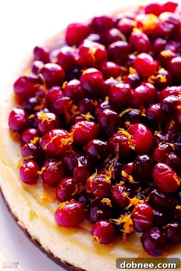 Vibrant Cranberry Orange Cheesecake with a smooth texture