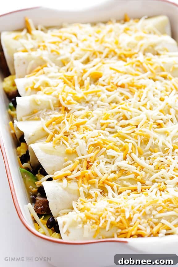 Rise & Shine Enchiladas 5 Golden-brown Breakfast Enchiladas fresh out of the oven, topped with a generous layer of melted cheese, ready to be served.