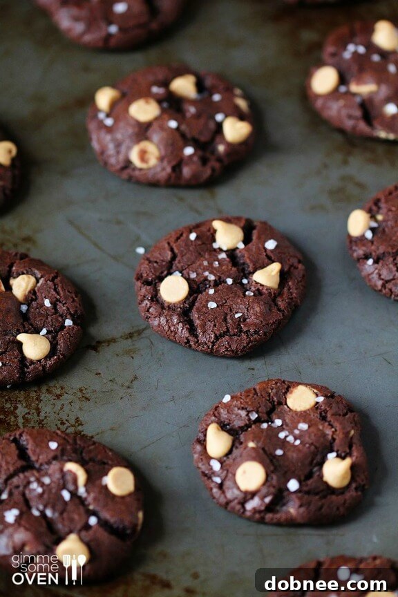 Salted Chocolate Peanut Butter Cookies | gimmesomeoven.com