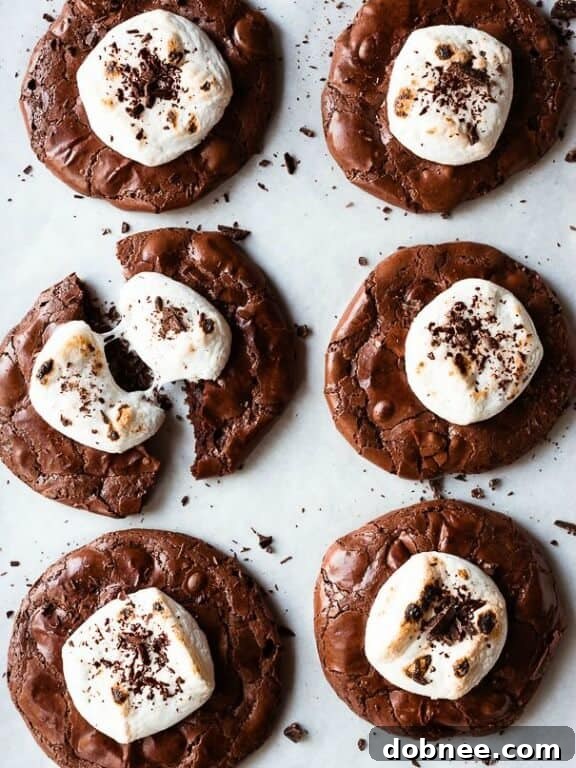Flourless Hot Cocoa Cookies | forkknifeswoon.com