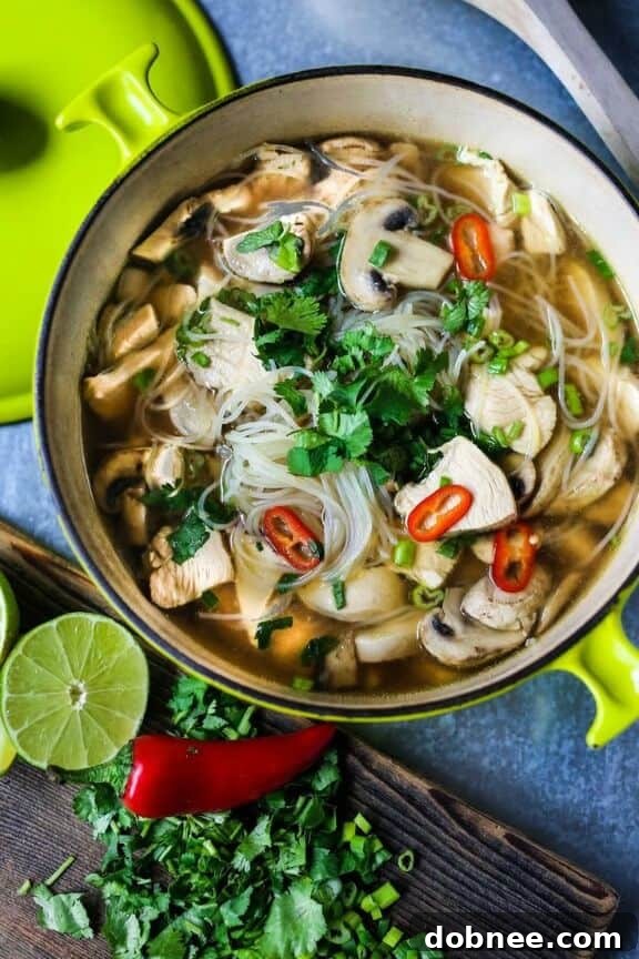 Thai Chicken Noodle Soup | feastingathome.com