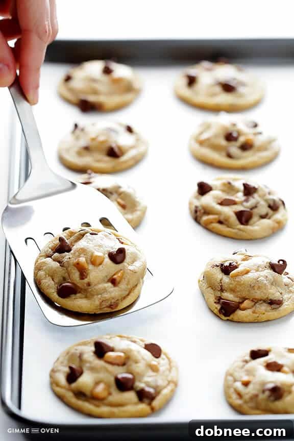 Irresistible Toffee Chocolate Chip Cookies: A close-up of freshly baked, soft, and chewy cookies with visible chocolate and toffee chips.