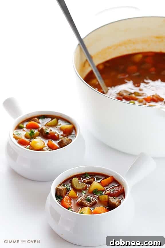 Serving of customizable Vegetable Beef Soup, appealing to all tastes
