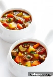Delicious and hearty Vegetable Beef Soup