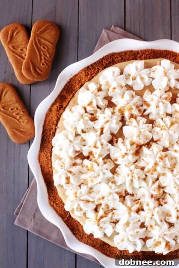 Creamy Biscoff Pie, a unique and sweet holiday dessert for cookie butter lovers