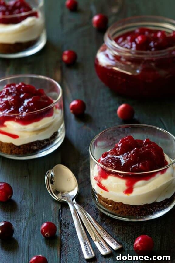 No Bake Cranberry Orange Cheesecakes, an easy and vibrant holiday dessert option