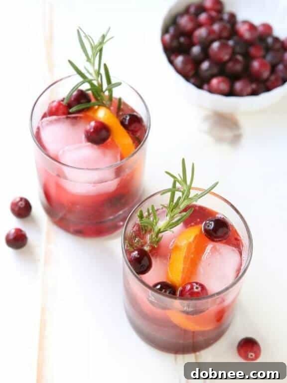 Festive Cranberry Gin Fizz Cocktail with cranberries and lime