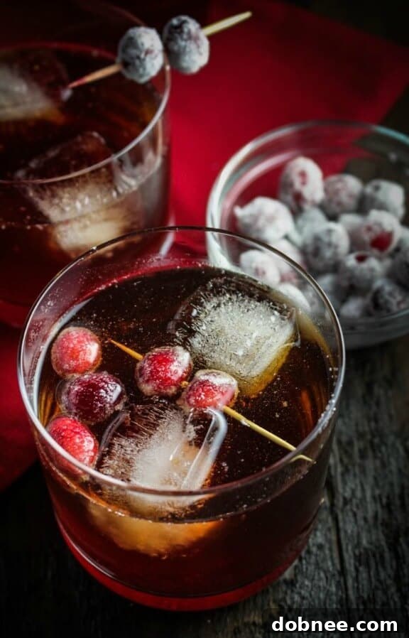 Spiced Cranberry-Ginger Sparkling Rum Cider with cinnamon stick and cranberries