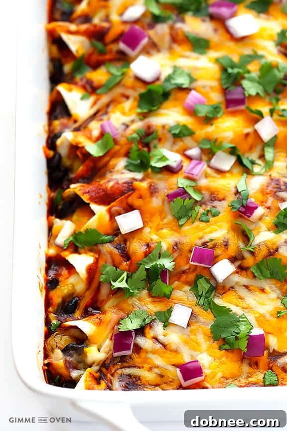 Freshly Baked Enchiladas Baked BBQ Chicken Enchiladas, golden brown and bubbling with melted cheese, fresh out of the oven and garnished with fresh cilantro