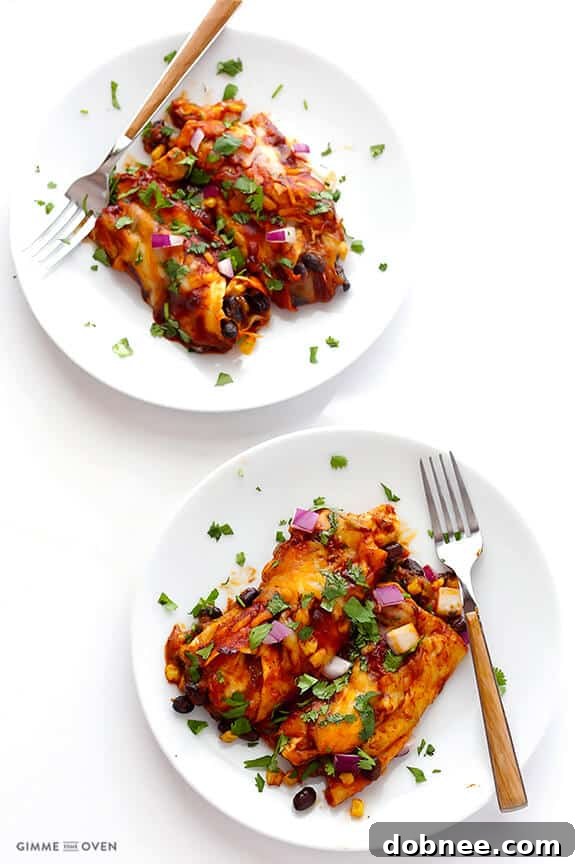 Plated BBQ Chicken Enchilada A single BBQ Chicken Enchilada beautifully plated, garnished with vibrant fresh cilantro and a dollop of sour cream