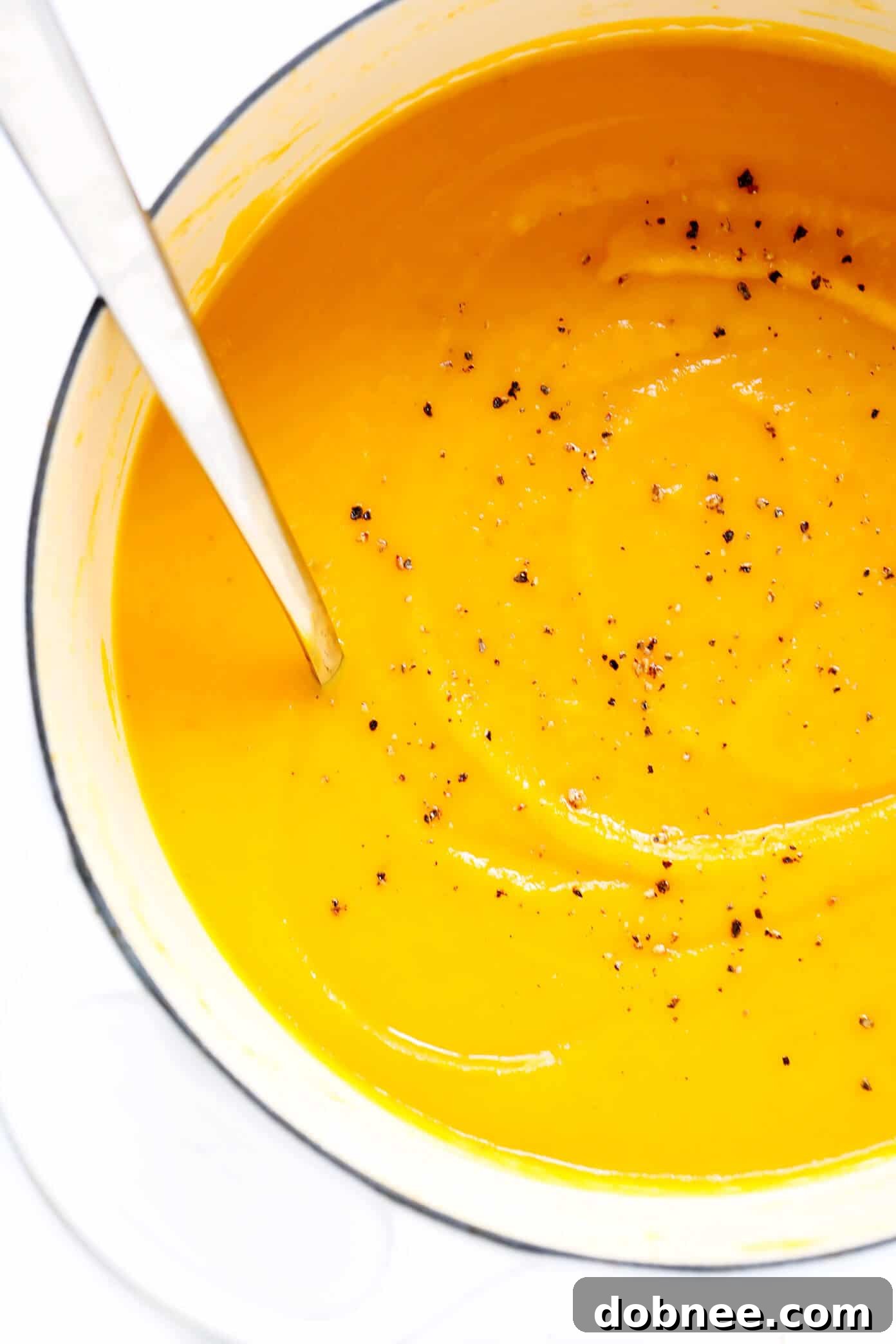 Butternut Squash Soup served in a Dutch oven, ready to ladle into bowls.