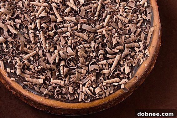 Decadent Bailey's Chocolate Cheesecake for St. Patrick's Day