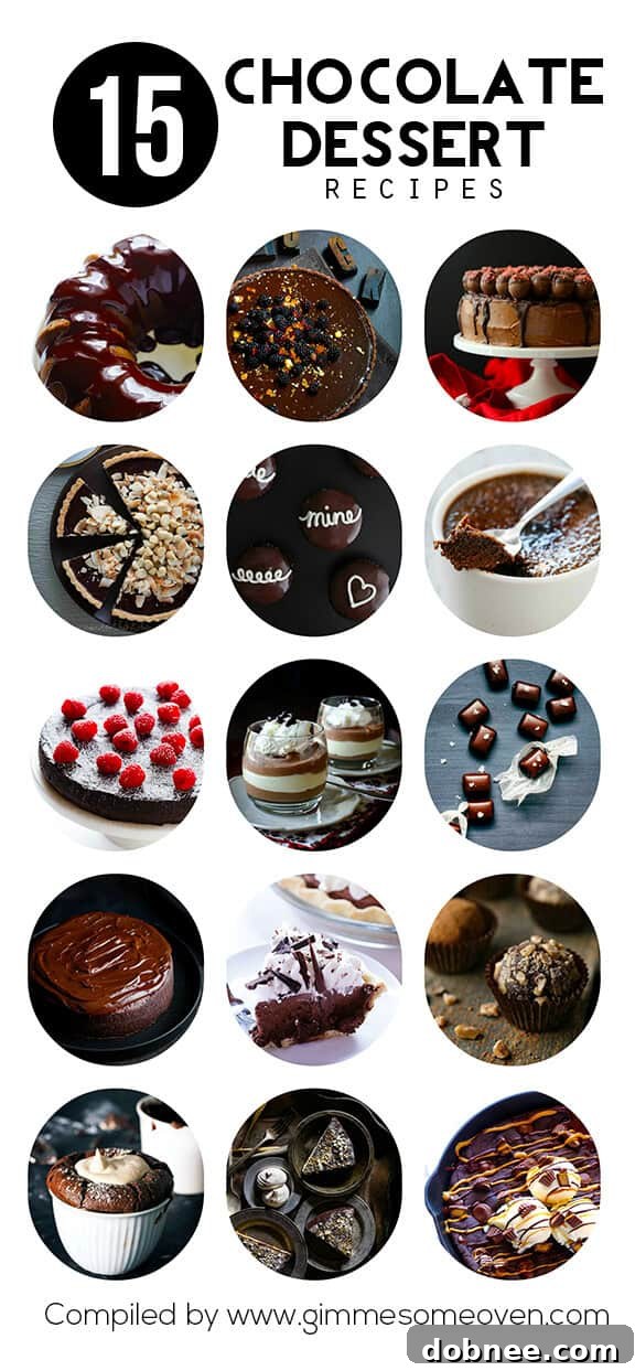 15 Decadent Chocolate Dessert Recipes | dobnee.com