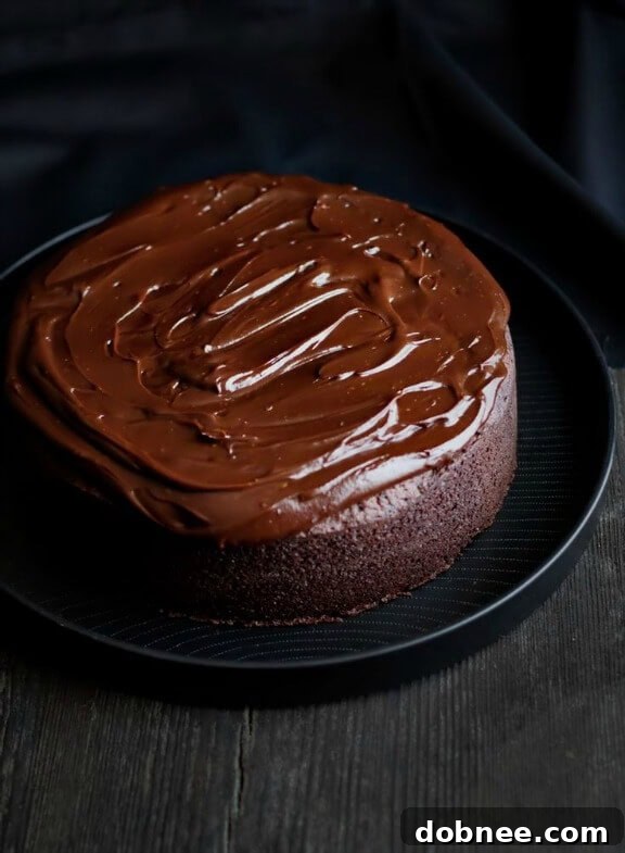Chocolate Baileys Mud Cake | citrusandcandy.com