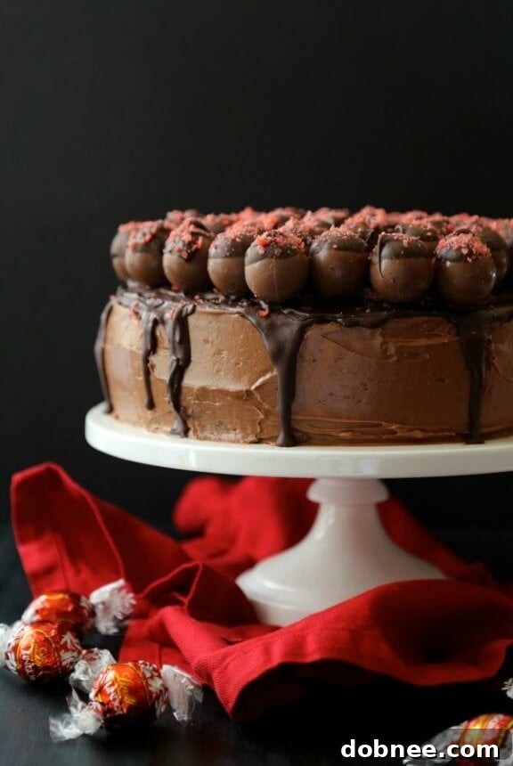 Dark Chocolate Cake with Cherry Pop Rocks Covered Truffles | climbinggriermountain.com