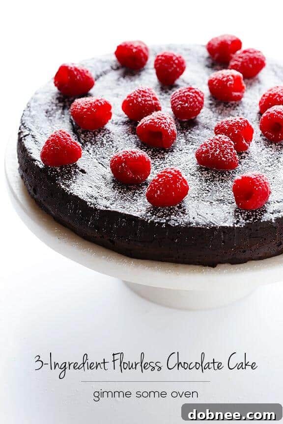 3-Ingredient Flourless Chocolate Cake | gimmesomeoven.com