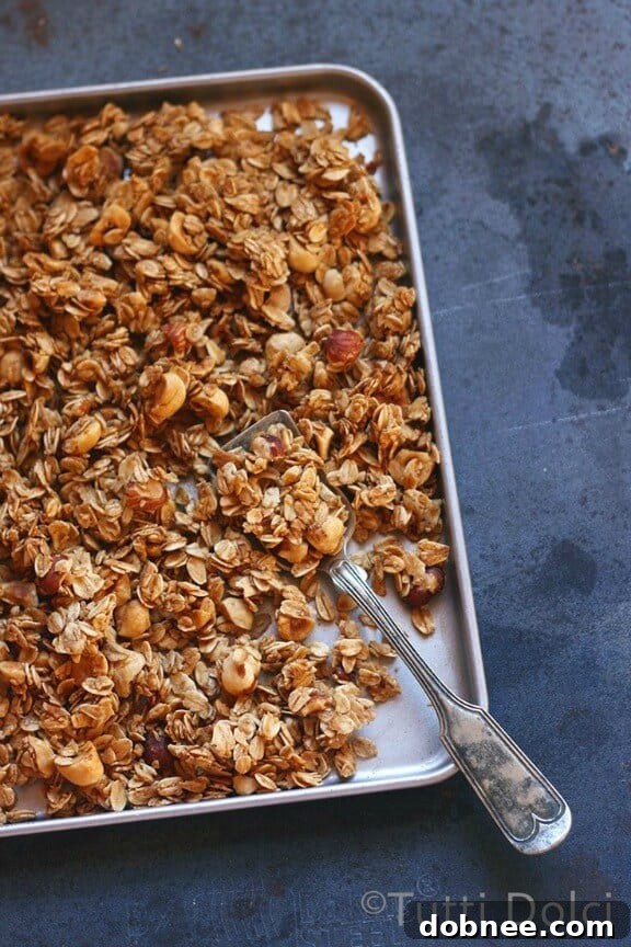 Honey Hazelnut Granola | tutti-dolci.com