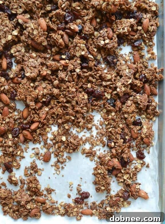 Chocolate Almond Olive Oil Granola | girlversusdough.com