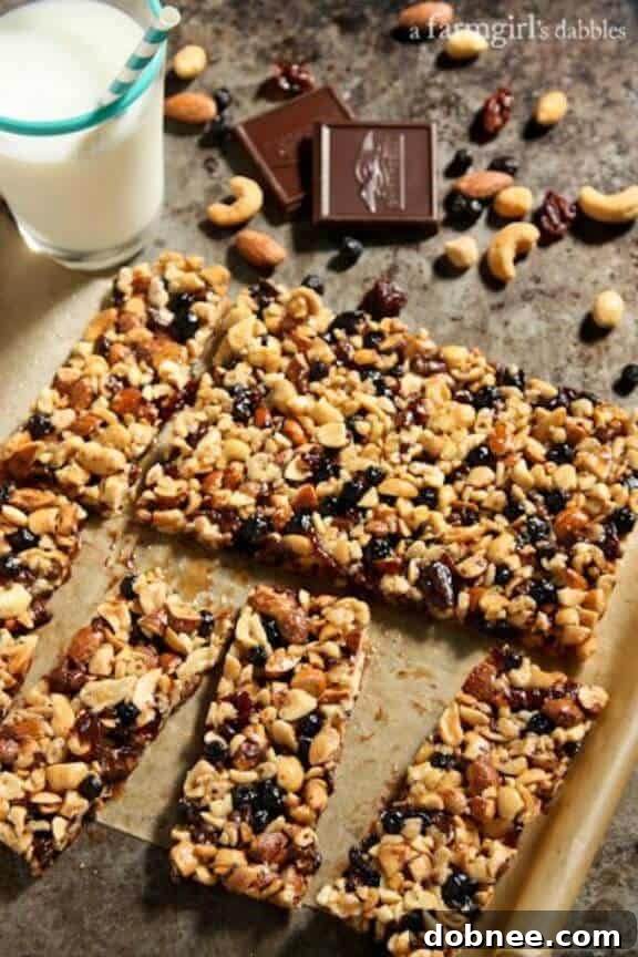 Homemade Nuts and Fruits Energy Bars (KIND Bars style).