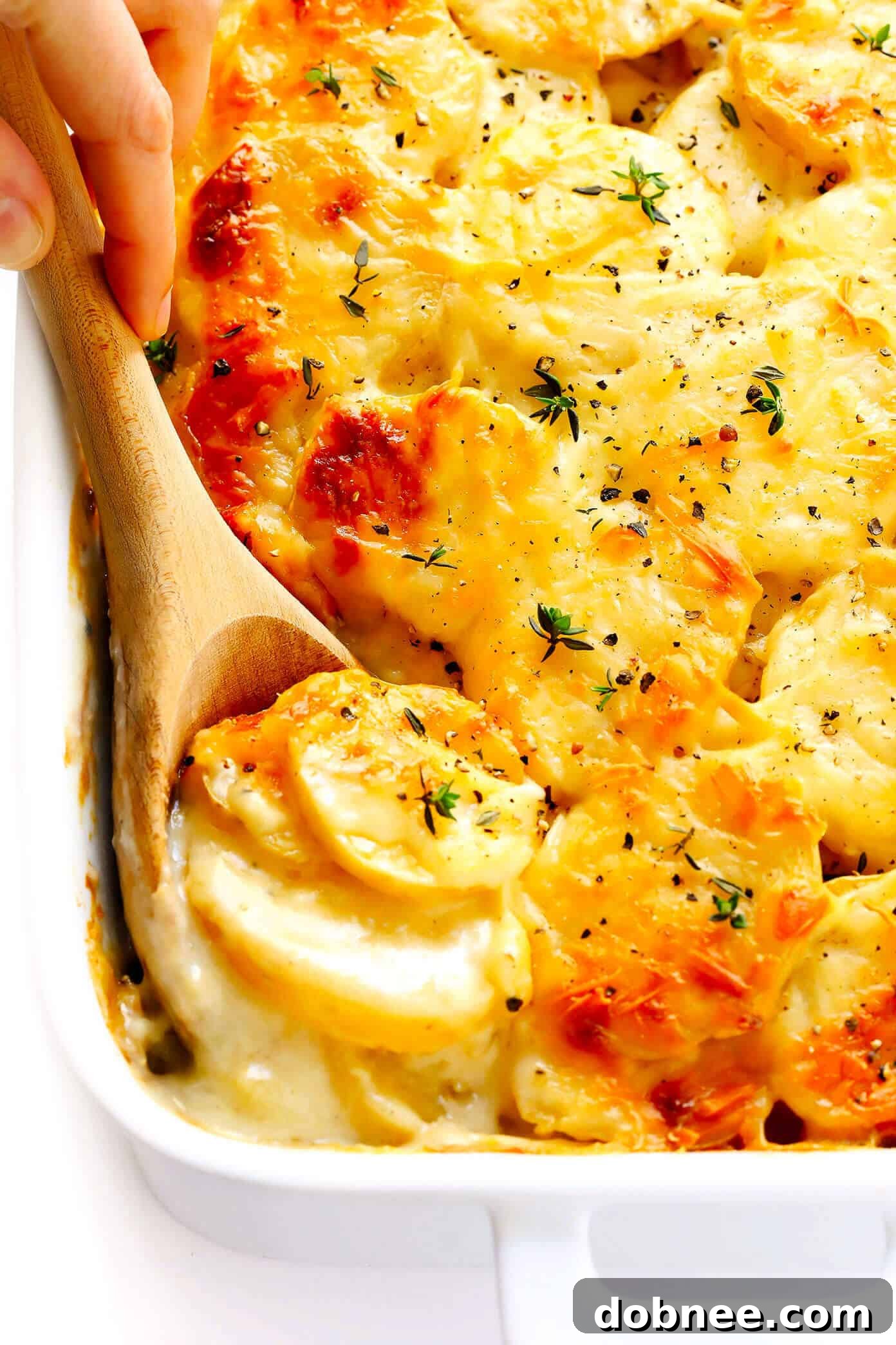 Scalloped Potatoes Recipe