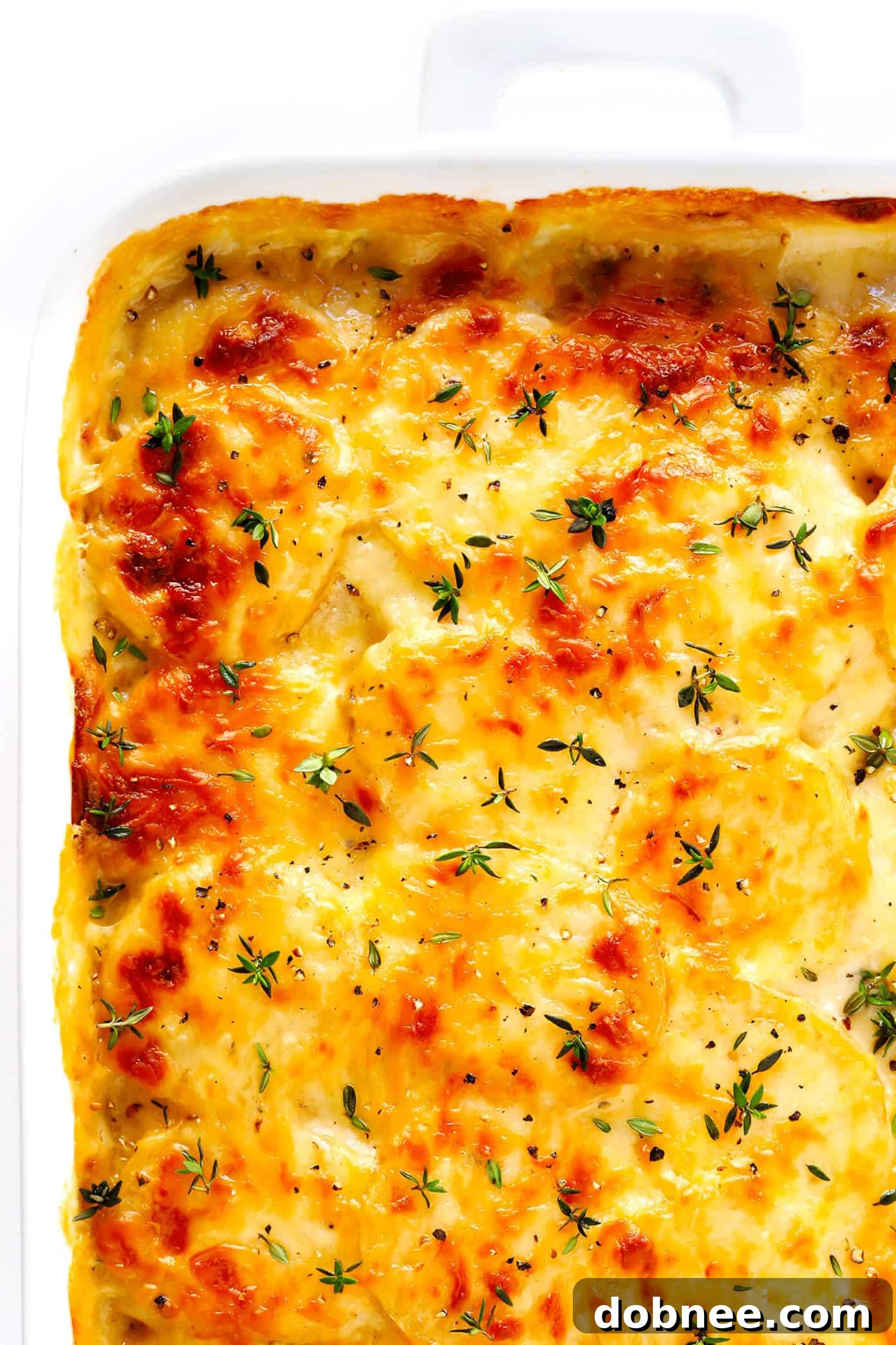 Scalloped Potatoes