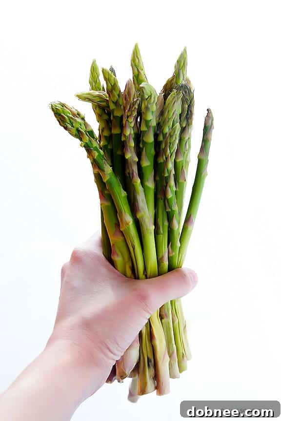 Fresh Asparagus for Asparagus and Arugula Pasta Salad
