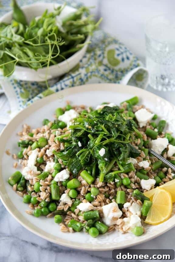 Spring Pea and Feta Farro | whatsgabycooking.com