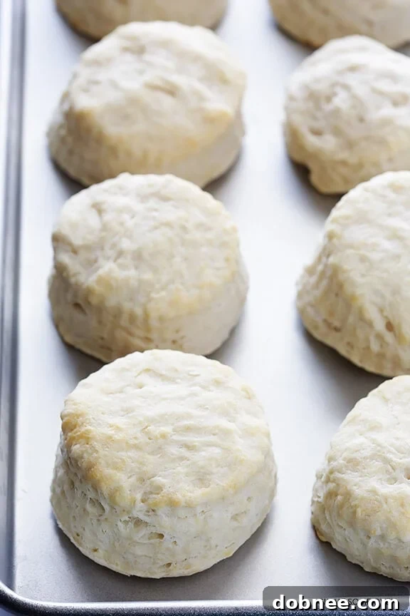 Vegan Biscuits and Mushroom Gravy - a hearty, dairy-free breakfast or brunch recipe.