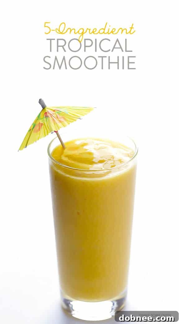 Five-Minute Paradise Blend 8 5-Ingredient Tropical Smoothie | gimmesomeoven.com