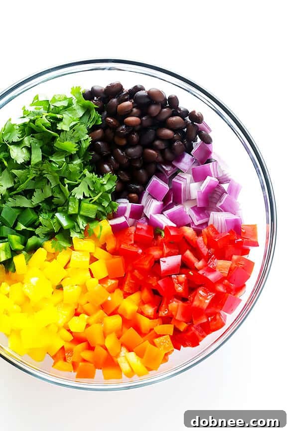 Rainbow Salsa -- easy to make, and so fresh and tasty! | gimmesomeoven.com