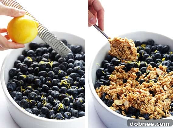 Easy Blueberry Crisp -- this fresh dessert is quick and easy to make, naturally gluten-free and vegan, and absolutely irresistible! | gimmesomeoven.com