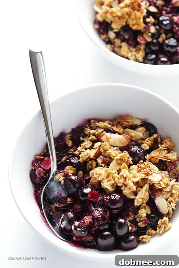 Easy Blueberry Crisp -- this fresh dessert is quick and easy to make, naturally gluten-free and vegan, and absolutely irresistible! | gimmesomeoven.com